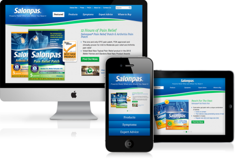 http://www.inflexioninteractive.com/case/salonpas/